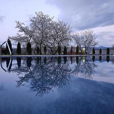 Soare-N Maramures Budeşti Buitenkant foto