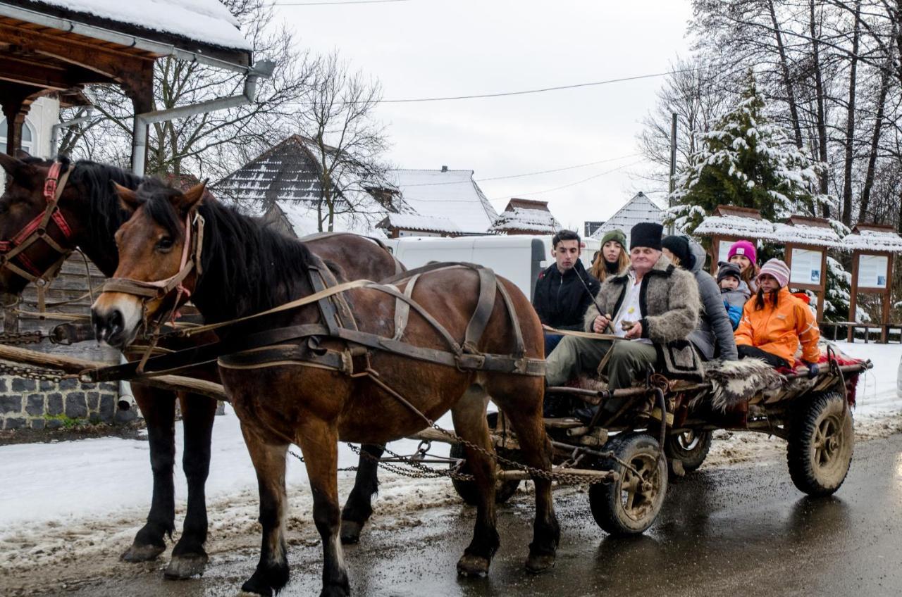 Soare-N Maramures Budeşti Buitenkant foto